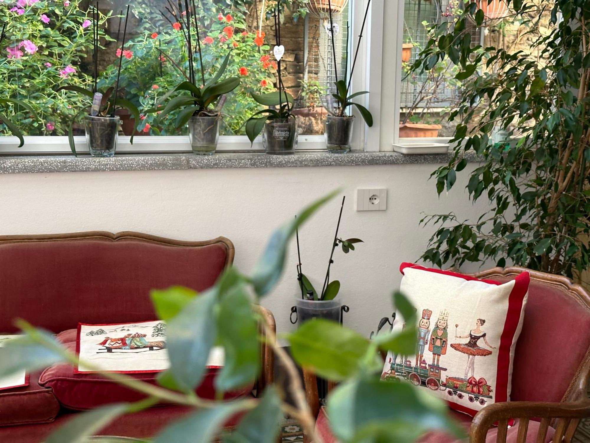 Domus Socolatae Residenza D'Epoca Charming B&B - Adults Only Follonica Exterior foto